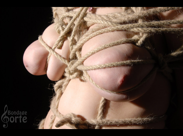 Travail des seins12 (55)