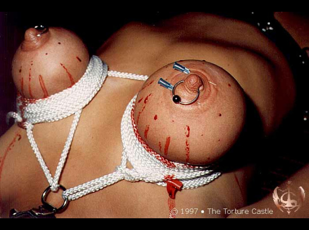 Travail des seins5 (385)