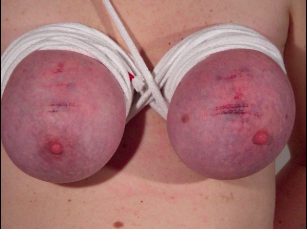 Travail des seins7 (55)