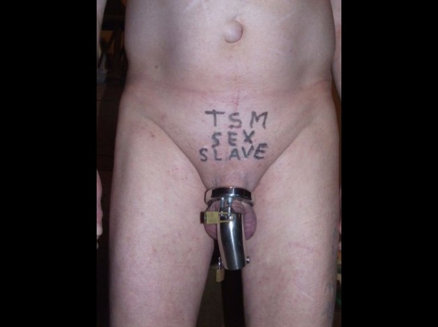 cok harness 1