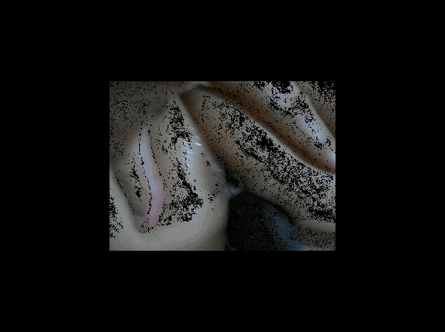GIF02