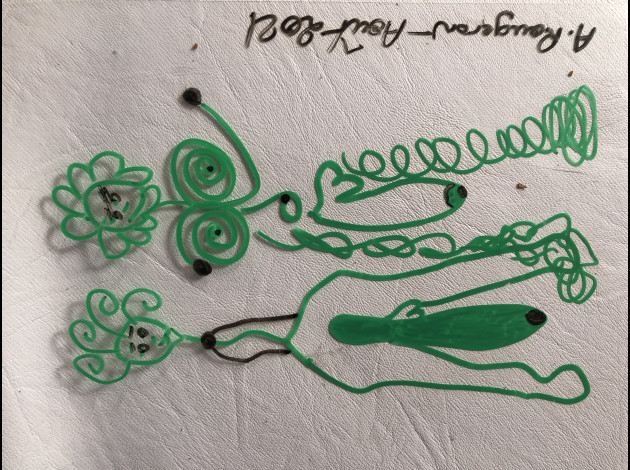 bio bite