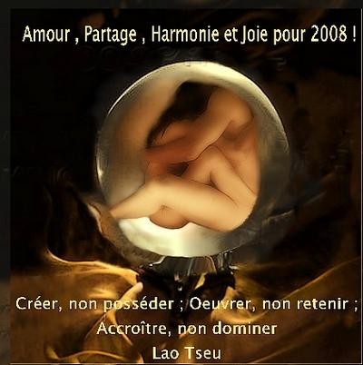 voeux-blog-2008-def.jpg