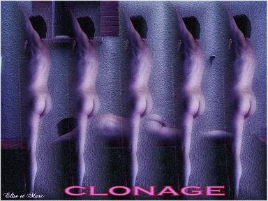 clonage-def-small.jpg