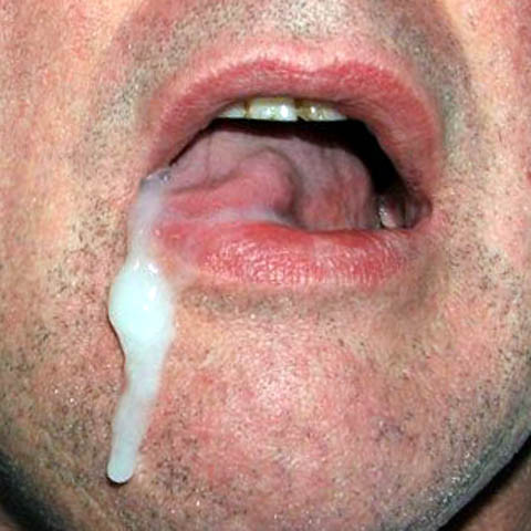 2008Cumeater101.jpg