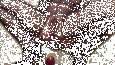 aby-peche4.gif