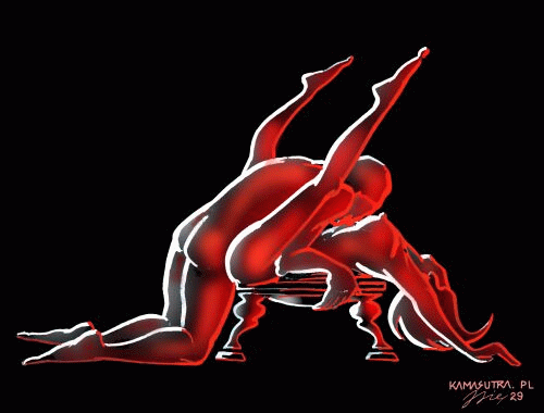 kamasutra-sexe-010.gif