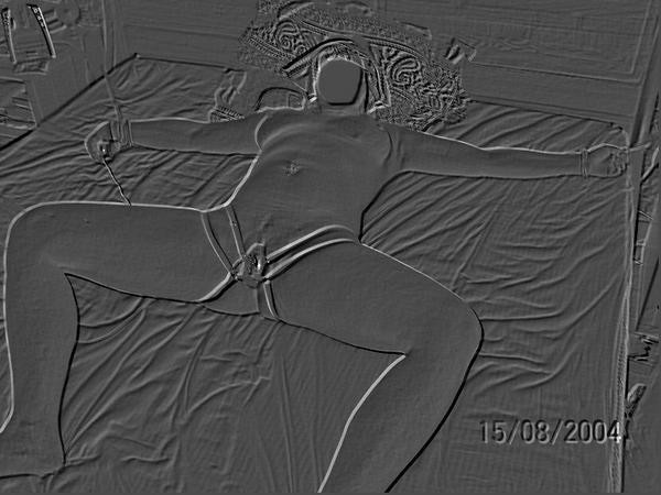 sextoys7_contours.jpg