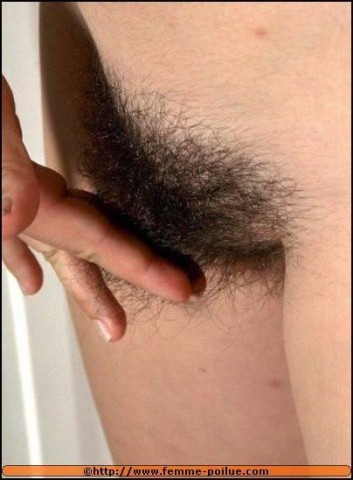 belle_toisons_poilues_7.jpg