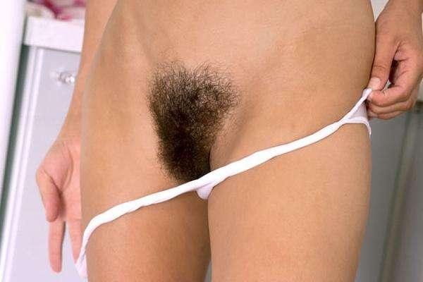 belle_toisons_poilues_9.jpg
