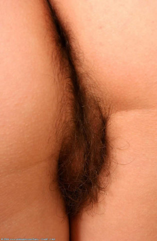 chattes_poilue_1113.jpg