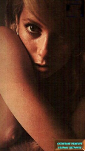 deneuve1.jpg