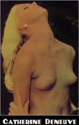 deneuve7.jpg