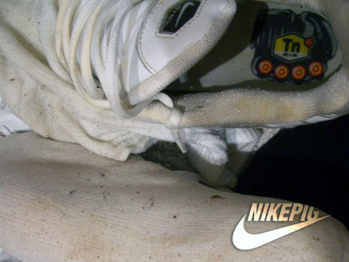 nikepig-_13_.jpg