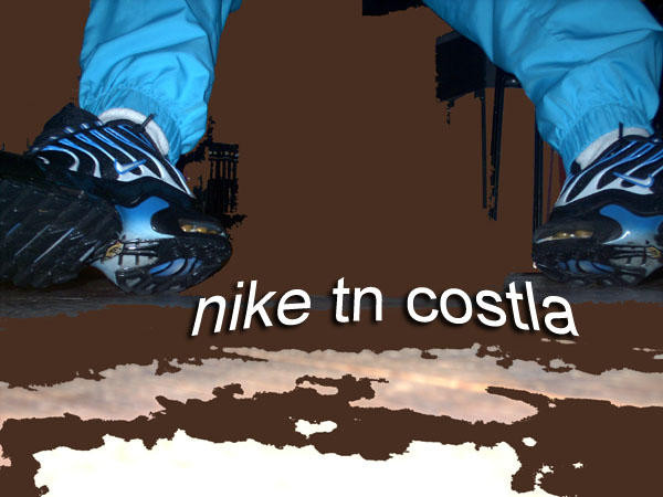 rebeu-en-canceva.jpg