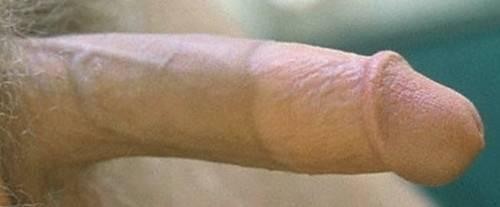 veins2.jpg