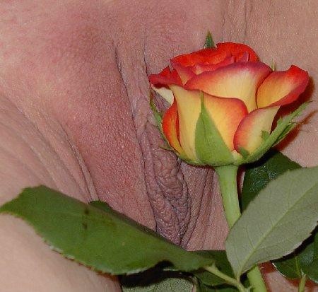 2897-wdyypeyfx0.jpg