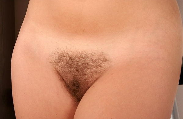 800px-poilspubiens.jpg
