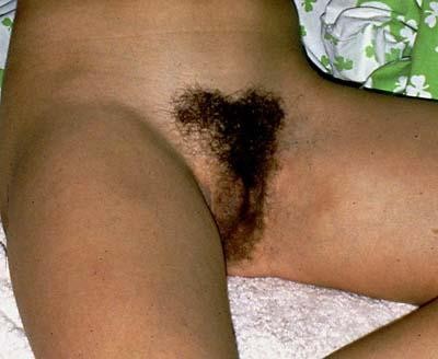 hairy-pussy.jpg