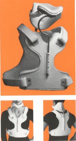 2-post-collar1.jpg