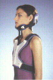 2-post-collar2.jpg