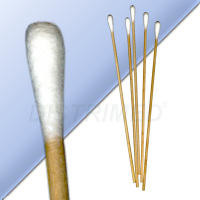061901-pic.jpg