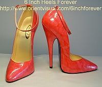 shoeshigh052.jpg