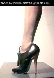 talons15.jpg