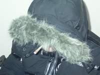 capuche-pet.jpg