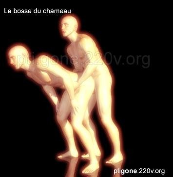 bosse_chameau_04.jpg