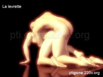 levrette_01.jpg