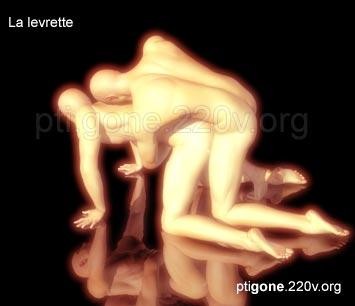levrette_02.jpg