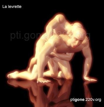 levrette_03.jpg