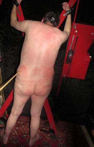 Photos plus 1466
