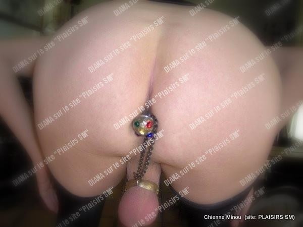 M 57500433 rosebud1