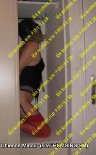 M 82104659 M 76615114 IMG 1758-1
