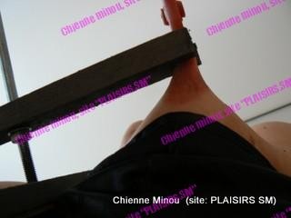 M 44278350 torture