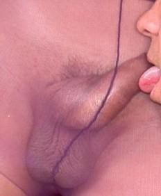 collant