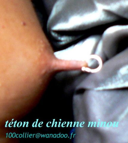 Téton de minou
