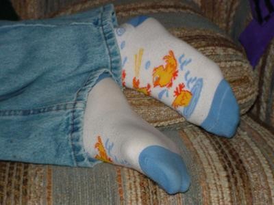 01940-socks-123-312lo.jpg