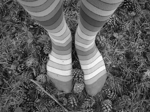 images-20of-20feet-201147.jpg