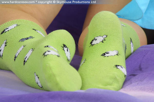 sox036124ik.jpg