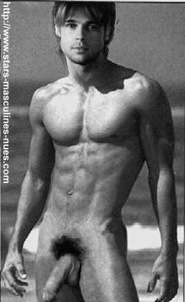 fakbradpitt-26.jpg