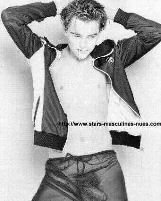 fakleonardo-dicaprio-010203.jpg