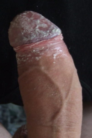 fromtonboy11.jpg