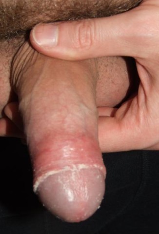 fromtonboy28.jpg