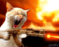 0chat-qui-tue.gif