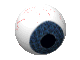 eye005_1_.gif