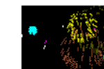 images-12.gif