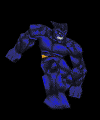 images-63.gif